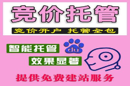 SEM推广优化实战：案例分析与启示
